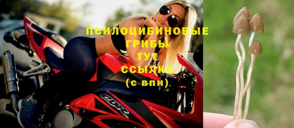 спайс Елабуга