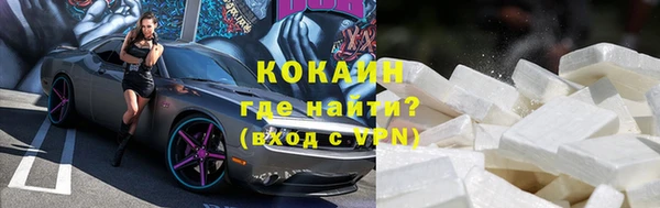 стафф Елизово