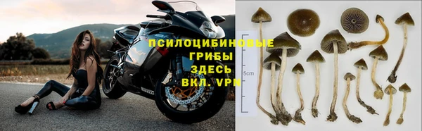 стафф Елизово