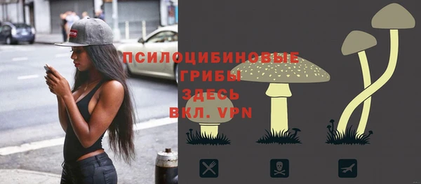 спайс Елабуга