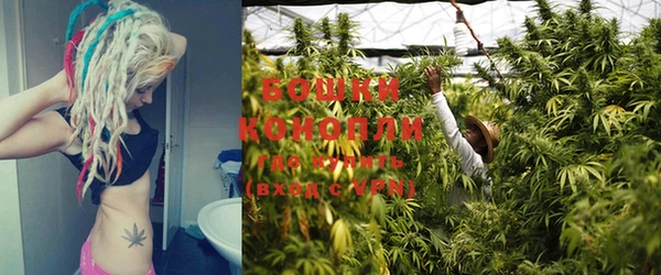 спайс Елабуга