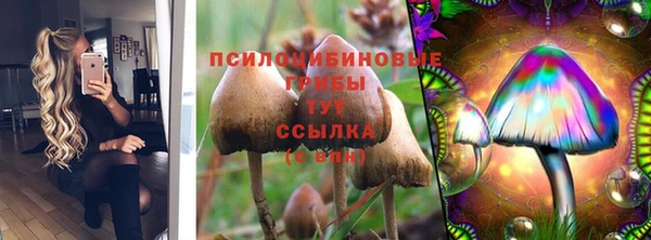 стафф Елизово