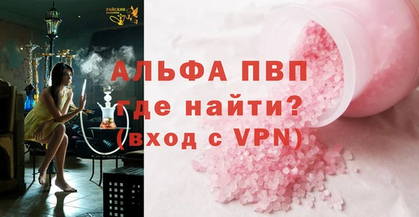 стафф Елизово